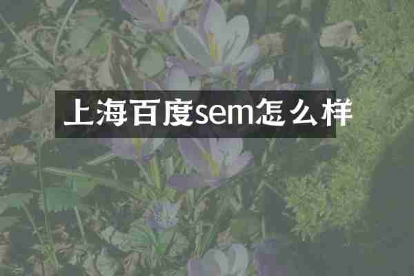 上海百度sem怎么样