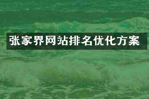 张家界网站排名优化方案