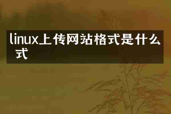 linux上传网站格式是什么格式