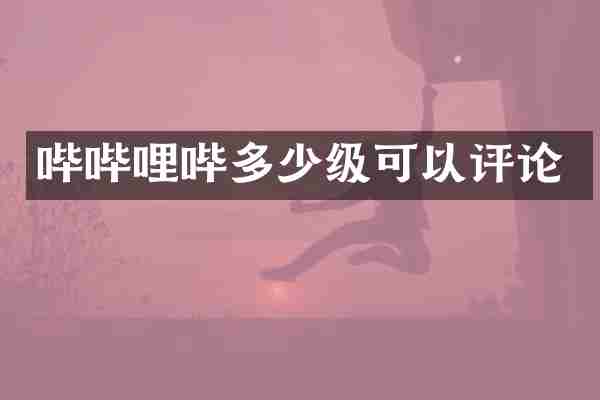哔哔哩哔多少级可以评论