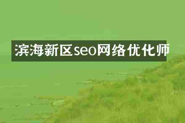 滨海新区seo网络优化师