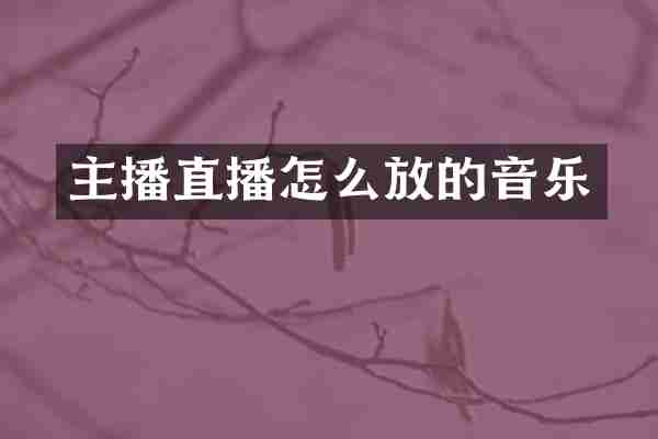 主播直播怎么放的音乐