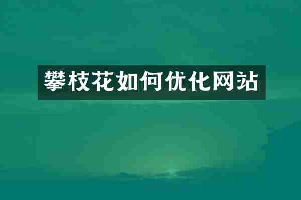 攀枝花如何优化网站
