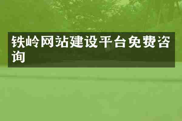 铁岭网站建设平台免费咨询