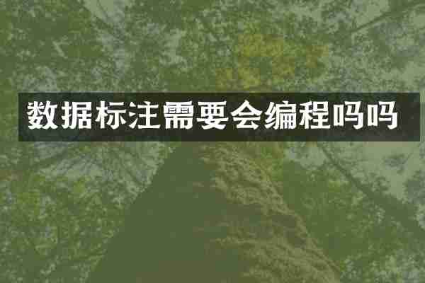 数据标注需要会编程吗吗