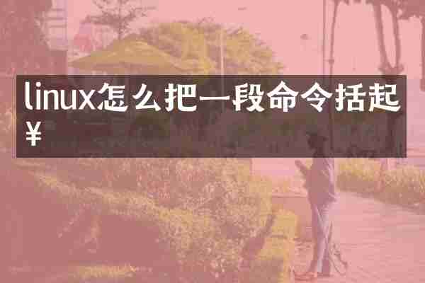 linux怎么把一段命令括起来