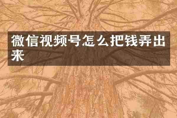 微信视频号怎么把钱弄出来