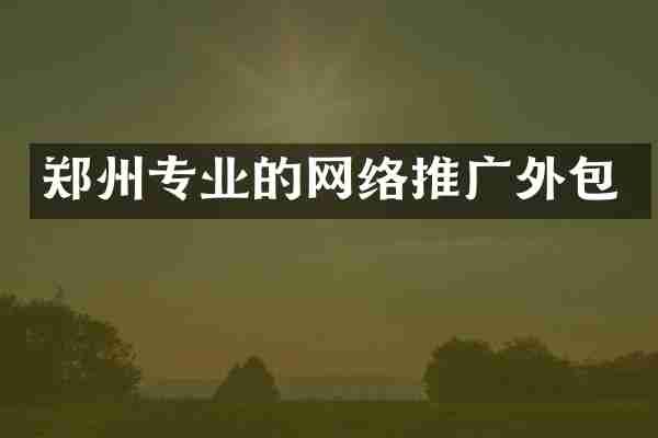 郑州专业的网络推广外包
