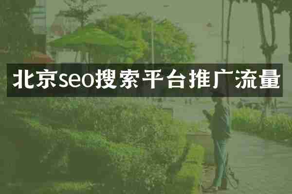 北京seo搜索平台推广流量