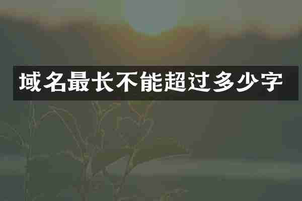 域名最长不能超过多少字