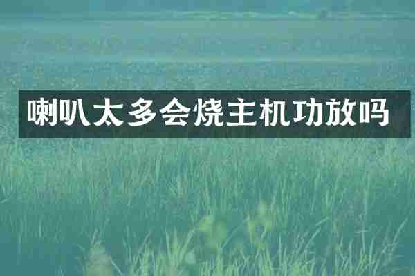 喇叭太多会烧主机功放吗