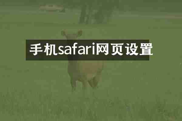 手机safari网页设置