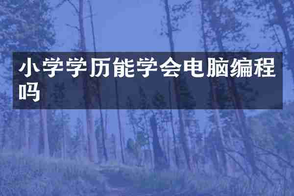 小学学历能学会电脑编程吗