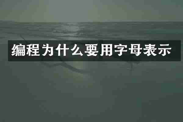 编程为什么要用字母表示