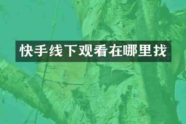 快手线下观看在哪里找