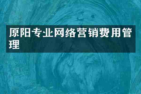 原阳专业网络营销费用管理