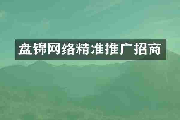盘锦网络精准推广招商