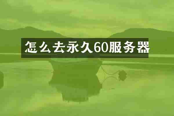 怎么去永久60服务器