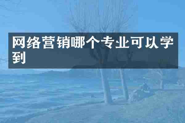 网络营销哪个专业可以学到