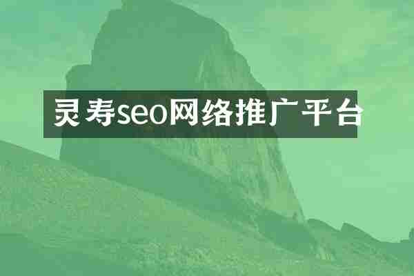 灵寿seo网络推广平台