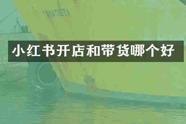 小红书开店和带货哪个好