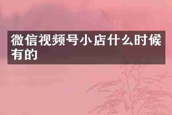 微信视频号小店什么时候有的