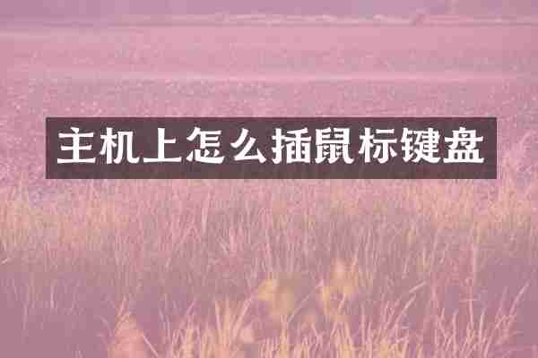 主机上怎么插鼠标键盘