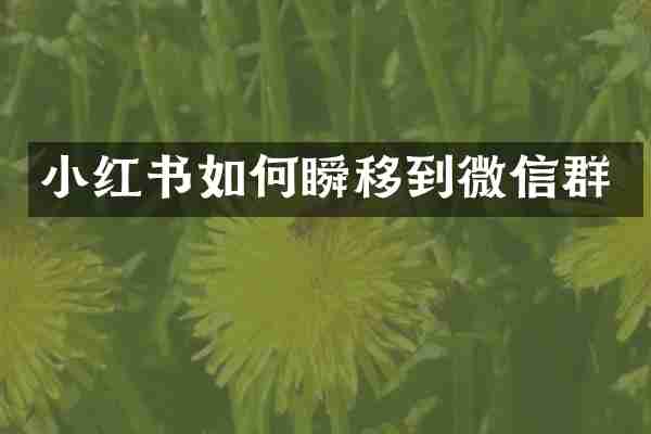 小红书如何瞬移到微信群