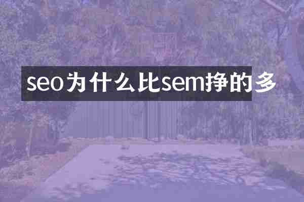 seo为什么比sem挣的多