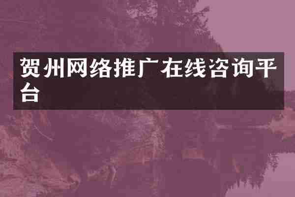 贺州网络推广在线咨询平台