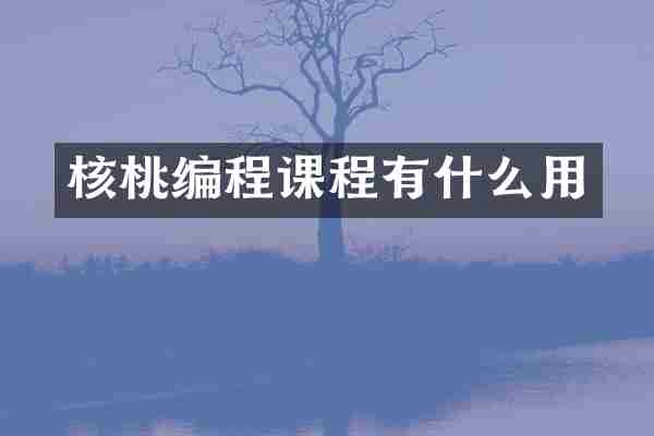 核桃编程课程有什么用