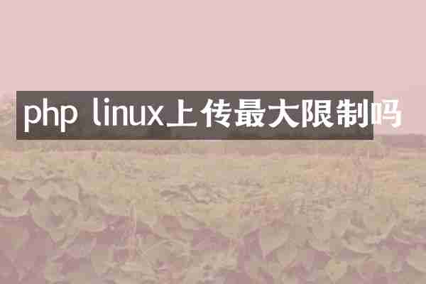 php linux上传最大限制吗