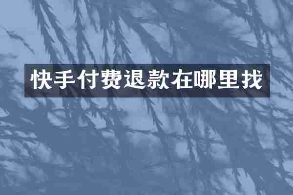 快手付费退款在哪里找