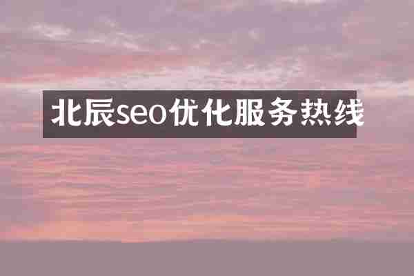 北辰seo优化服务热线