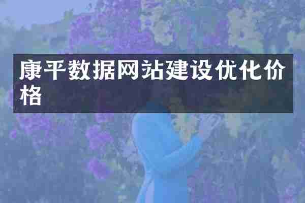 康平数据网站建设优化价格