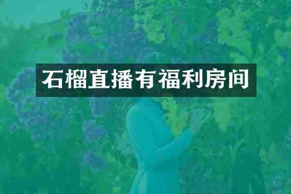 石榴直播有福利房间