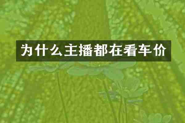 为什么主播都在看车价