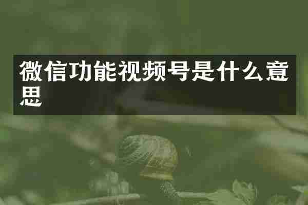 微信功能视频号是什么意思