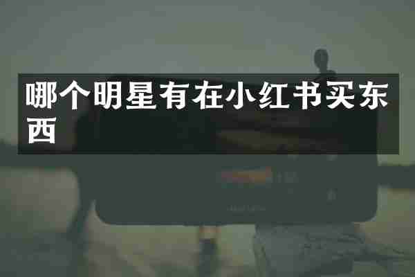 哪个明星有在小红书买东西