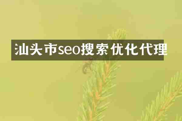 汕头市seo搜索优化代理