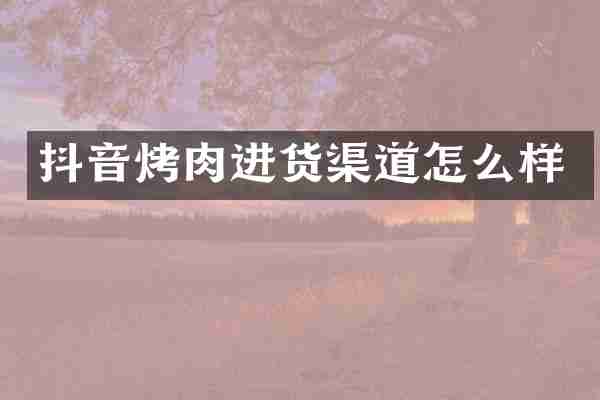 抖音烤肉进货渠道怎么样