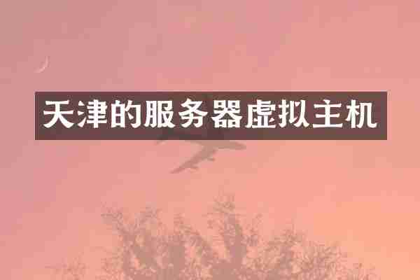 天津的服务器虚拟主机