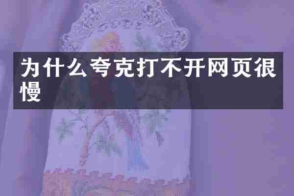 为什么夸克打不开网页很慢