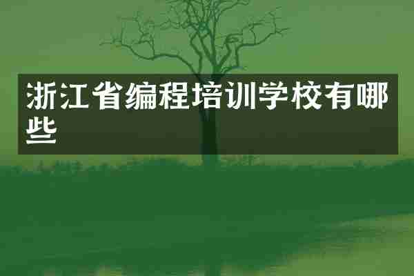 浙江省编程培训学校有哪些