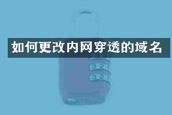 如何更改内网穿透的域名