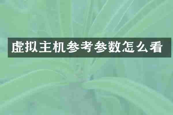 虚拟主机参考参数怎么看