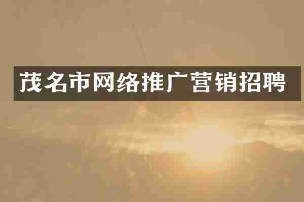 茂名市网络推广营销招聘