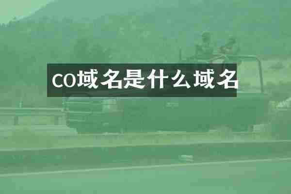co域名是什么域名