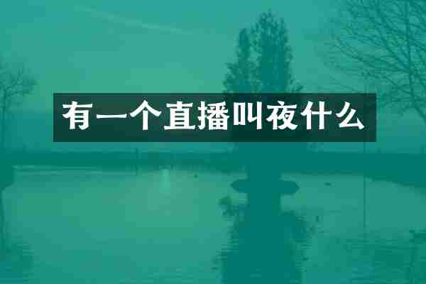有一个直播叫夜什么