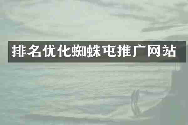 排名优化蜘蛛屯推广网站